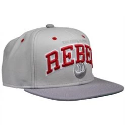Brandneu ✔️ Starter Star Wars: Snapback Cap "Rebel" - Grau/rot/grün 👏